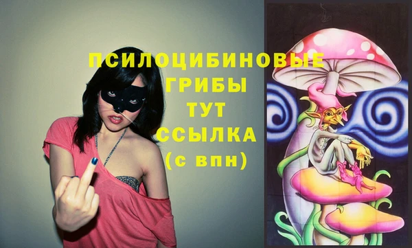 не бодяженный Балахна