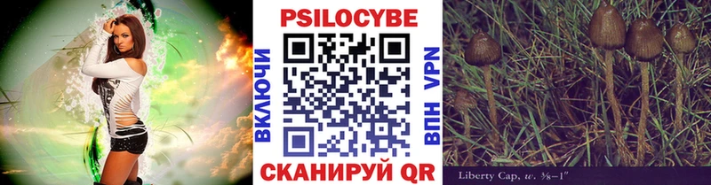 Купить закладки  Железноводск  Псилоцибиновые грибы мицелий 
